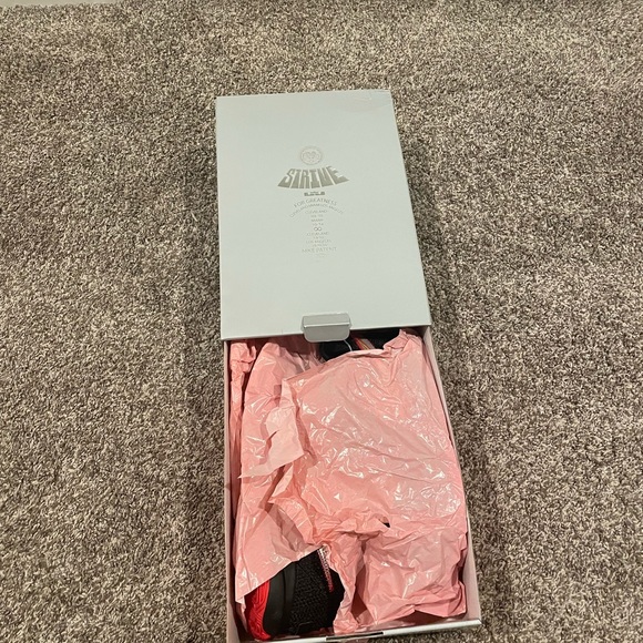 LeBron James Shoes 10. - Picture 4 of 7